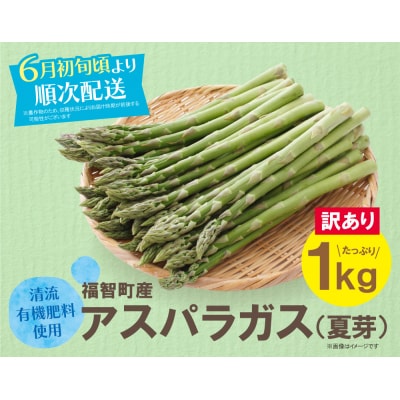 【訳あり】清流・有機肥料使用 アスパラガス(夏芽) 1kg