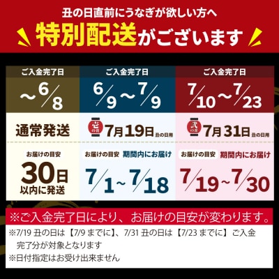 【丑の日7/19までにお届け】国産うなぎ蒲焼大4尾(670g以上)鰻蒲焼用タレ・山椒付