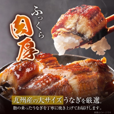 国産うなぎ蒲焼大4尾(670g以上)鰻蒲焼用タレ・山椒付