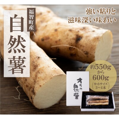 【福智町産】オラの自然薯(カットもの 約600g)