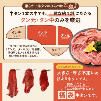 【訳あり】厚切り 牛タンステーキ 塩レモン(900g)