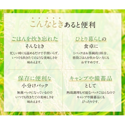 無菌包装米飯 福岡県産 夢つくし(24パック)