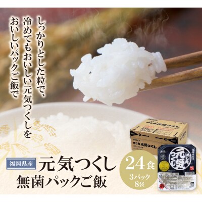 無菌包装米飯　福岡県産 元気つくし(24パック)