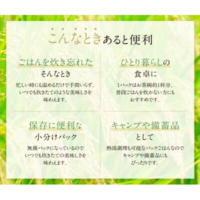 無菌包装米飯福岡県産 夢つくし24パック定期便(隔月・年6回)