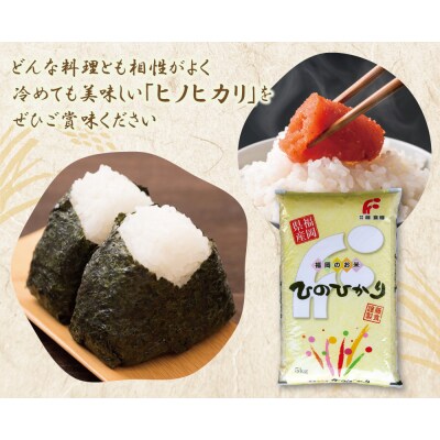 研ぐお米 ヒノヒカリ5kg
