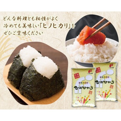 研ぐお米 ヒノヒカリ10kg
