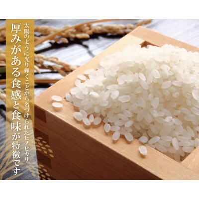 研ぐお米 ヒノヒカリ10kg