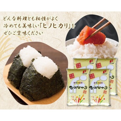 研ぐお米 ヒノヒカリ20kg