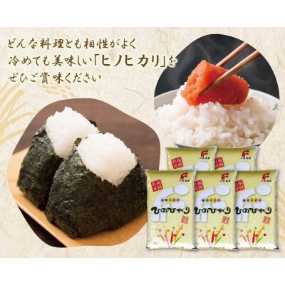 研ぐお米 ヒノヒカリ25kg