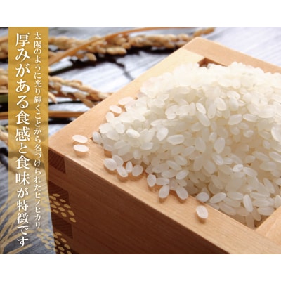 研ぐお米 ヒノヒカリ25kg