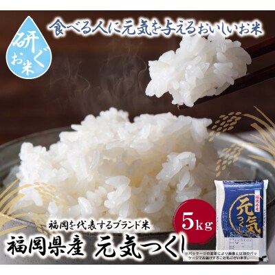 令和7年産 研ぐお米 元気つくし5kg