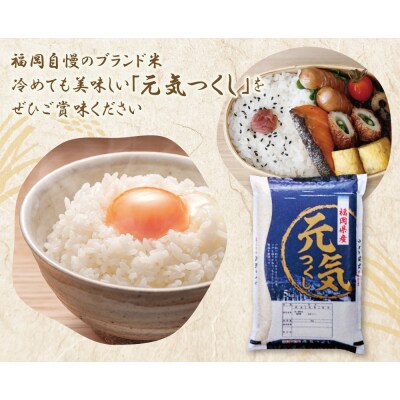 令和7年産 研ぐお米 元気つくし5kg