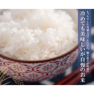 【新米】令和7年産 研ぐお米 元気つくし5kg