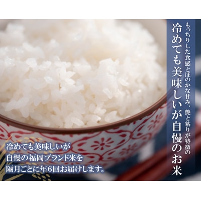 研ぐお米 福岡県産・元気つくし10kg定期便(隔月・年6回)