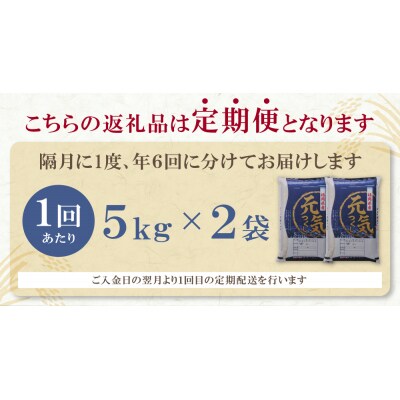 研ぐお米 福岡県産・元気つくし10kg定期便(隔月・年6回)
