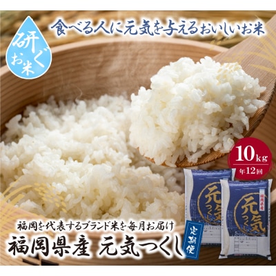 研ぐお米 福岡県産・元気つくし10kg定期便(毎月・年12回)