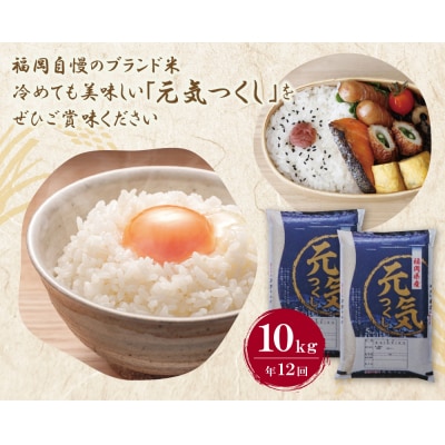 研ぐお米 福岡県産・元気つくし10kg定期便(毎月・年12回)