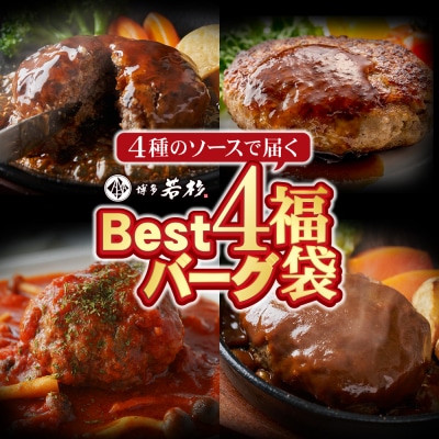 Best4バーグ ハンバーグ 20個セット(合挽4種 各5個)