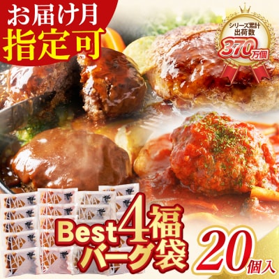 Best4バーグ ハンバーグ 20個セット(合挽4種 各5個)