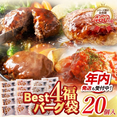 【12/21ご入金分まで年内発送】Best4バーグ ハンバーグ 20個セット(合挽4種 各5個)