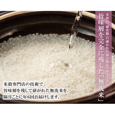 無洗米 福岡県産・夢つくし10kg定期便(毎月・年12回)