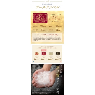 羽毛掛ふとん(シングル・ブルー)【DL005BLS】