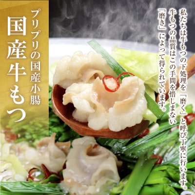 【訳あり】おどろきっちん もつ鍋(醤油)10人前