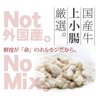 おどろきっちん 【訳あり】もつ鍋(味噌)10人前