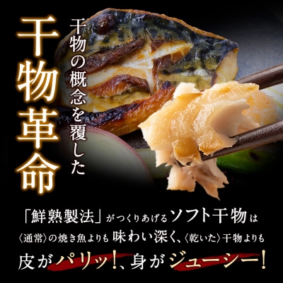 博多バラエティ― 干物詰合せ