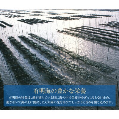 【訳あり】有明海産 焼き海苔 2切8枚×13袋
