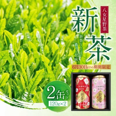 新茶 八女星野茶 120g×2本