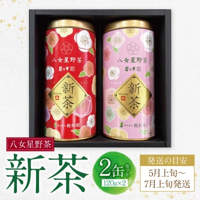 新茶 八女星野茶 120g×2本