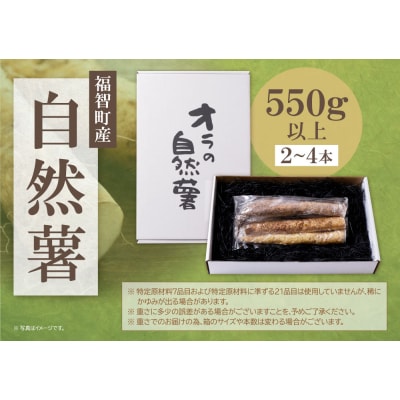 【福智町産】オラの自然薯(カットもの 550g以上)