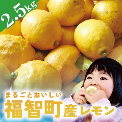 福智町産 レモン 2.5kg 約16～20個