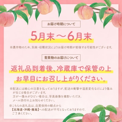 【2026年発送】福智町産 さくひめ (2kg)