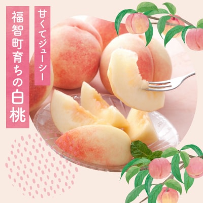 【2026年発送】福智町産 さくひめ (2kg)