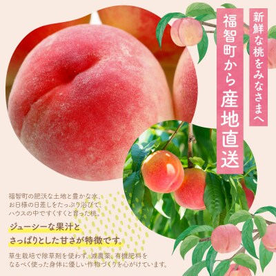 【2026年発送】福智町産 さくひめ (2kg)