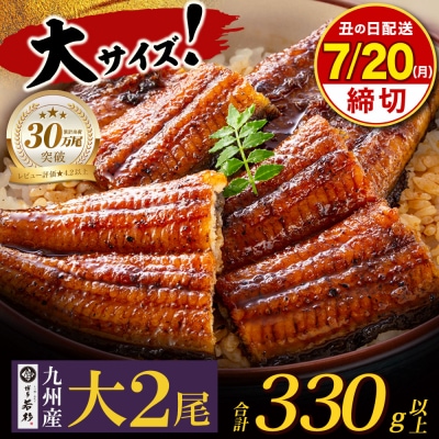 【丑の日】★申込7/20まで★ 国産うなぎ蒲焼大2尾(計330g以上)鰻蒲焼用タレ・山椒付