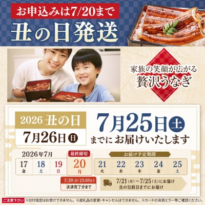 【丑の日】★申込7/20まで★ 国産うなぎ蒲焼大2尾(計330g以上)鰻蒲焼用タレ・山椒付
