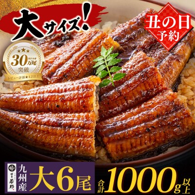 【丑の日7/26までにお届け】 国産うなぎ蒲焼大6尾(計1000g以上)鰻蒲焼用タレ・山椒付 丑の日