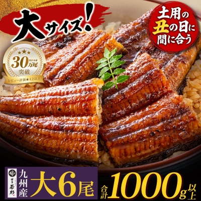 【7/26丑の日】7/25までにお届け 国産うなぎ蒲焼大6尾(計1000g以上)鰻蒲焼用タレ・山椒付