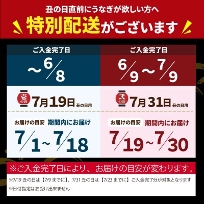 【丑の日7/31までにお届け】 国産うなぎ蒲焼大6尾(計1000g以上)鰻蒲焼用タレ・山椒付