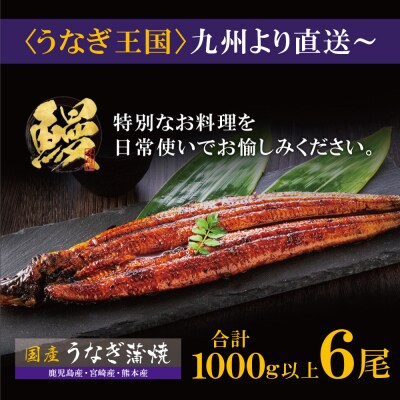 【7/26丑の日】7/25までにお届け 国産うなぎ蒲焼大6尾(計1000g以上)鰻蒲焼用タレ・山椒付