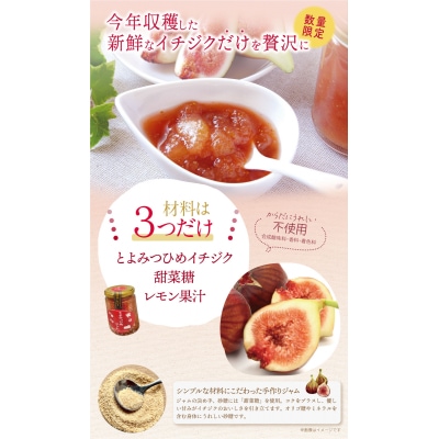 【先行受付】福岡県特産イチジク 博多とよみつひめジャム3本