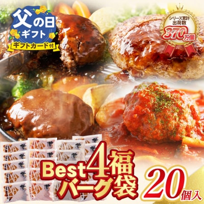 【父の日ギフト】Best4バーグ ハンバーグ 20個セット(合挽4種 各5個)