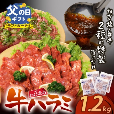 【父の日ギフト】【訳あり】牛ハラミ肉2種(旨辛ダレ、ねぎ塩) 1.2kg