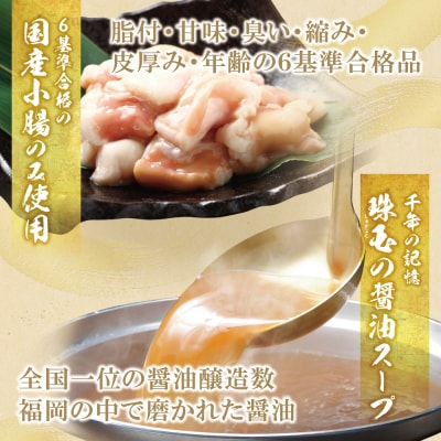 【7営業日以内発送】博多若杉 【訳あり】牛もつ鍋10人前(2人前×5セット)