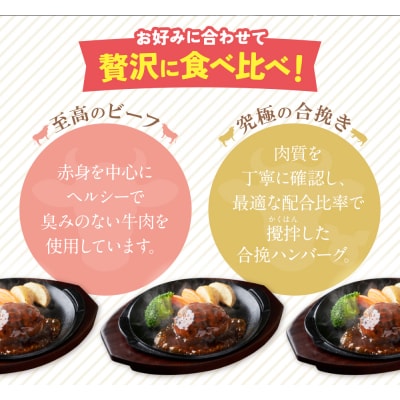 【最短発送(※1/7より順次)】どっちのハンバーグ!?デミグラスソース20個セット