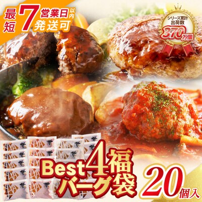 【7営業日以内】Best4バーグ ハンバーグ 20個セット(合挽4種 各5個)