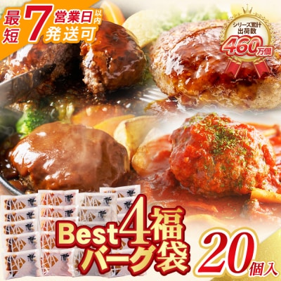 【7営業日以内】Best4バーグ ハンバーグ 20個セット(合挽4種 各5個)
